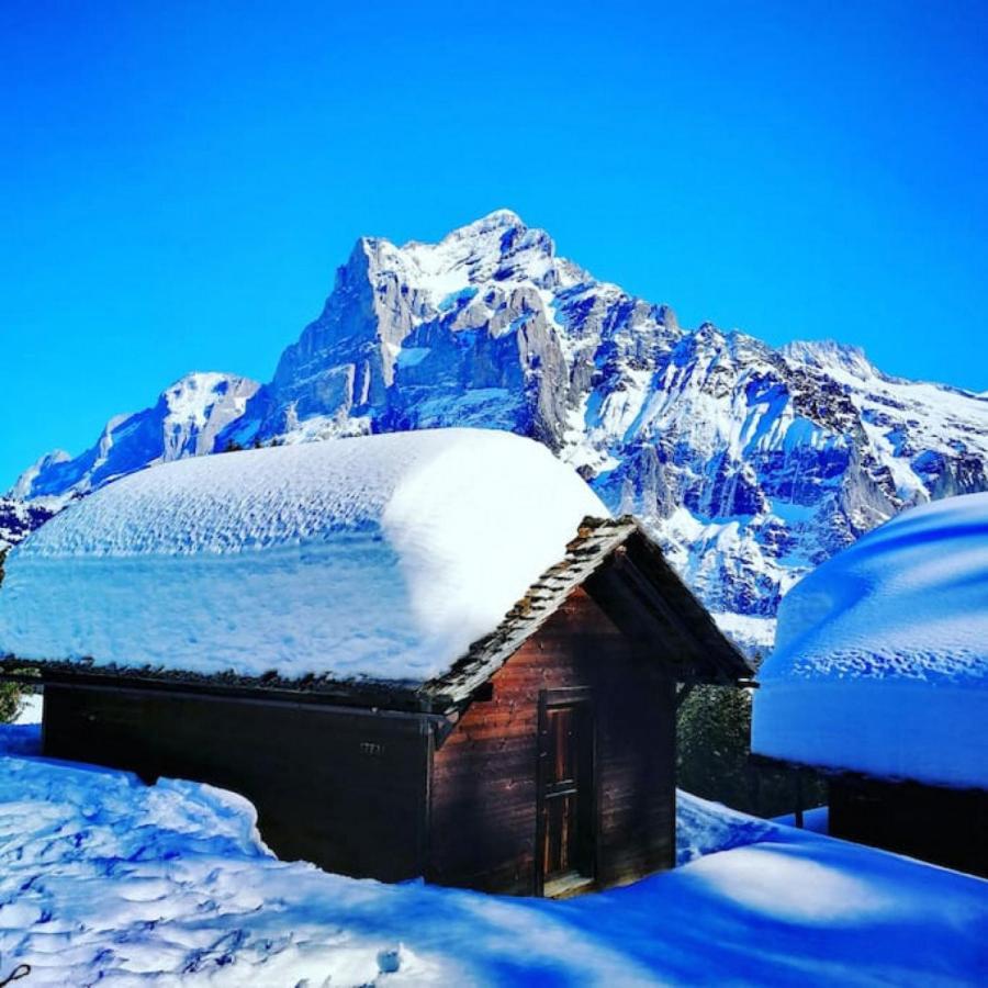 Swisshut Stunning Views Alps Lake - Chalet Erli Därligen 외부 사진